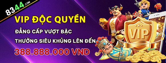 winvn